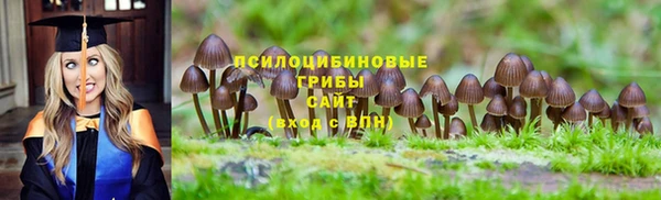 мяу мяу кристалл Няндома