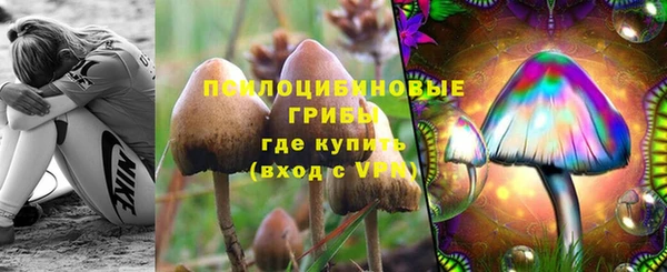 дживик Нязепетровск
