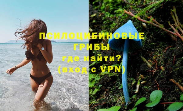 бошки Нягань