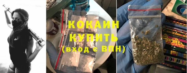 мяу мяу кристалл Няндома