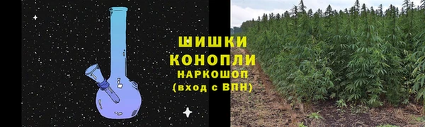 дживик Нязепетровск