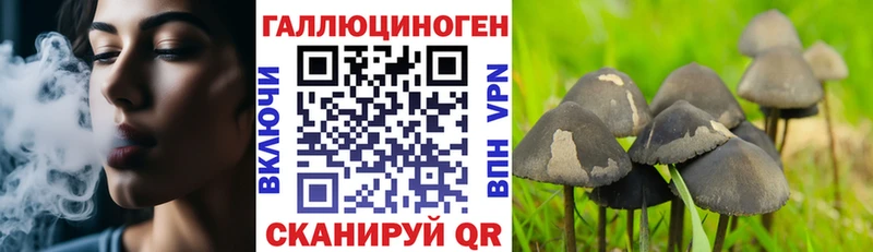 Галлюциногенные грибы мухоморы  Купить закладки  Опочка 
