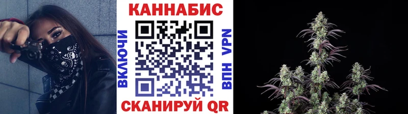 Бошки марихуана THC 21% Купить Опочка